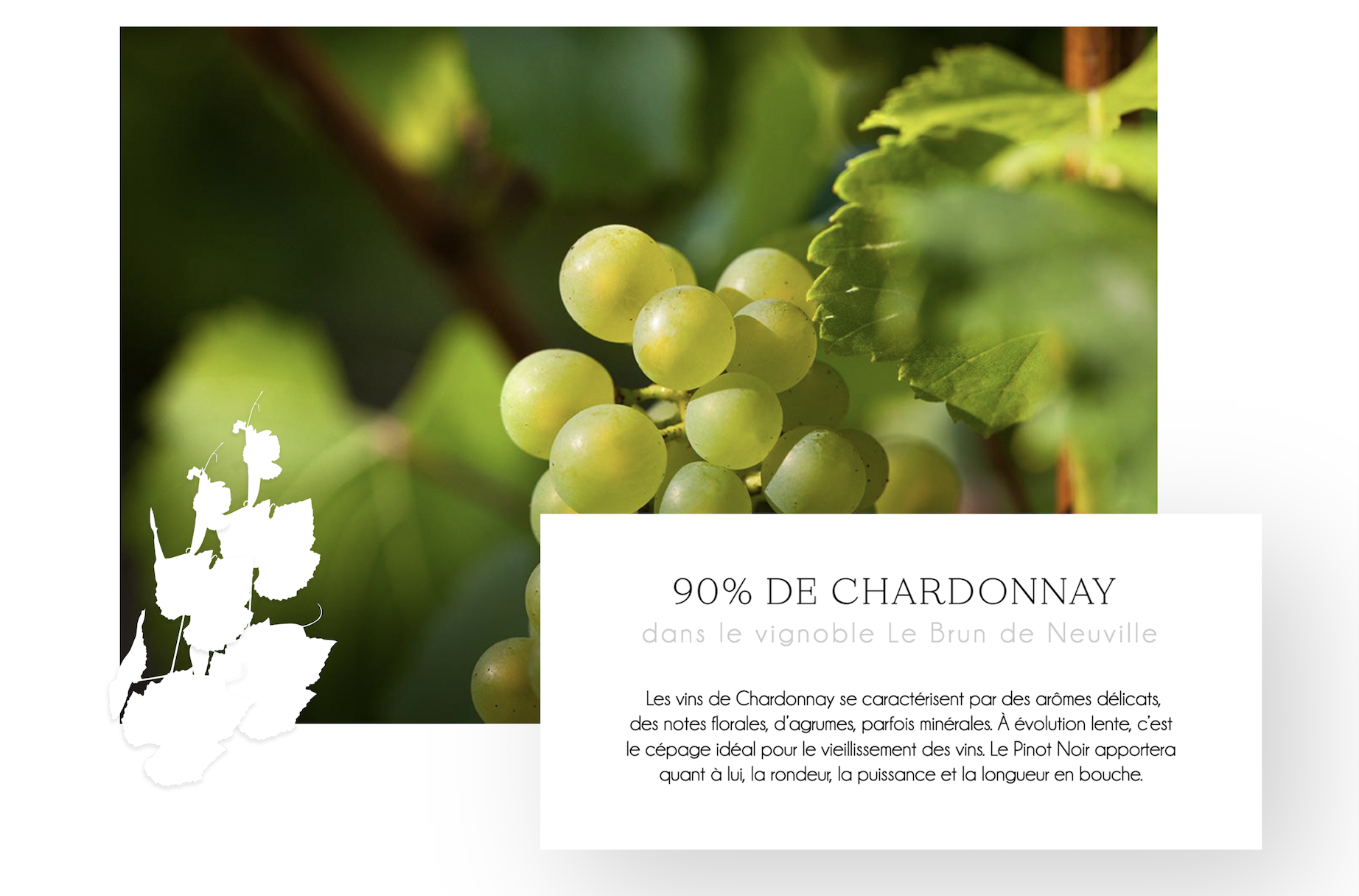 90% de Chardonnay