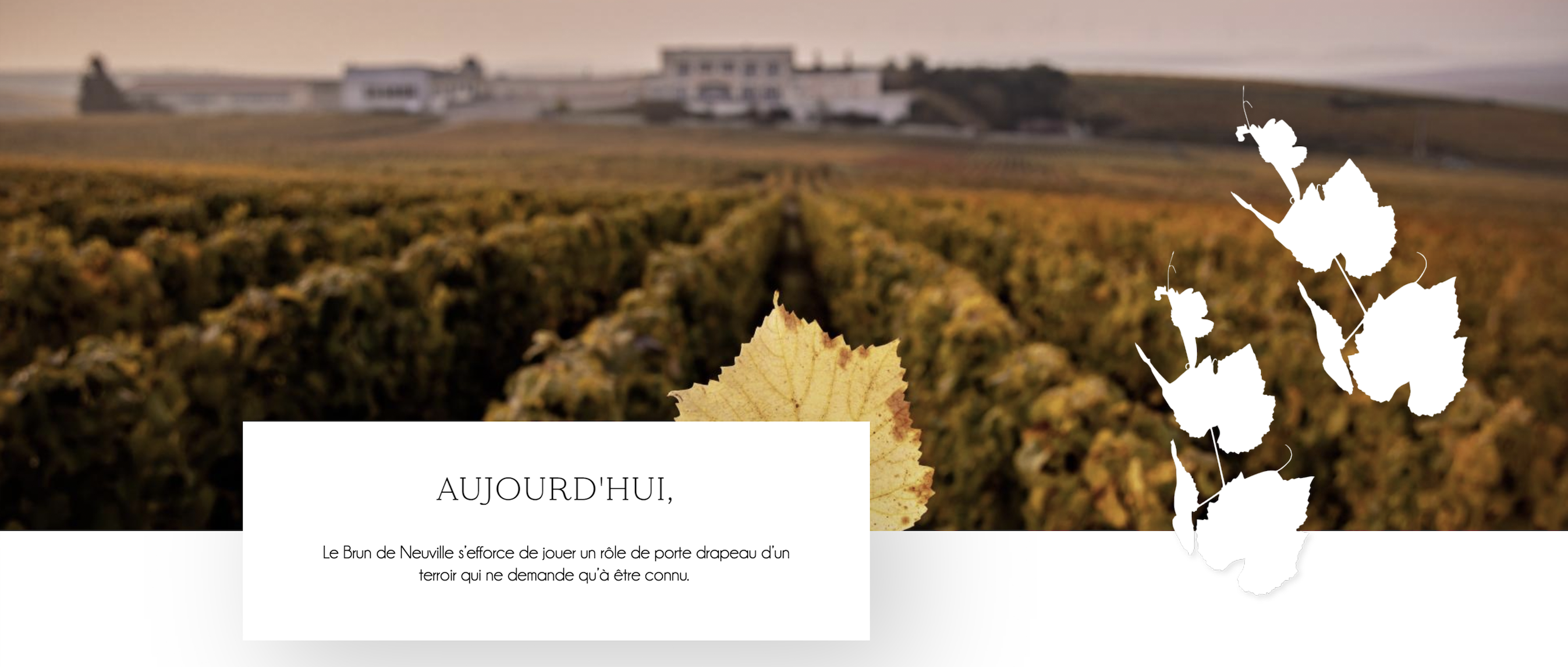 Le Brun de Neuville terroir